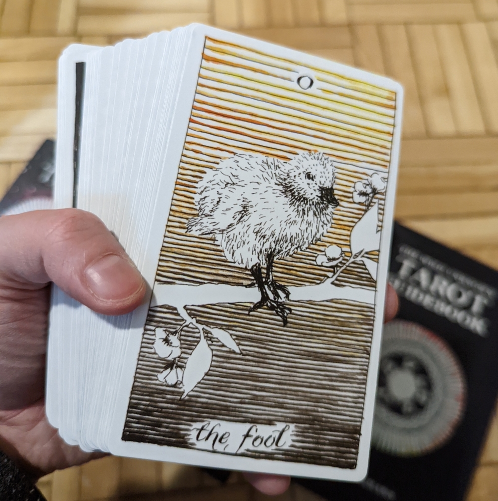 The Wild Unknown Tarot boxset